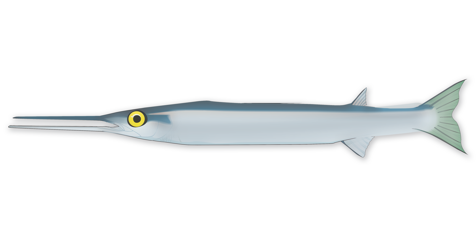Aguglia