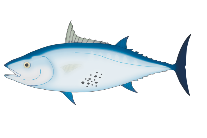 Tombarello